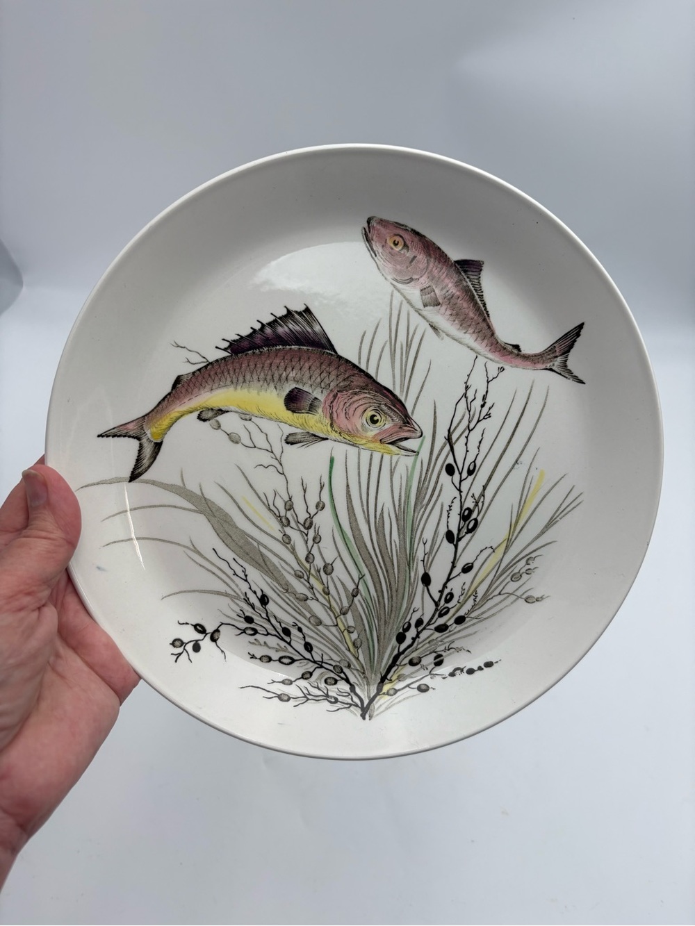 Vintage Johnson Bros. Fish Ceramic Plate Design No. 3 - 10” Diameter